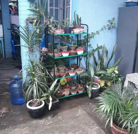 Majatalo Cvbnb Guesthouse
