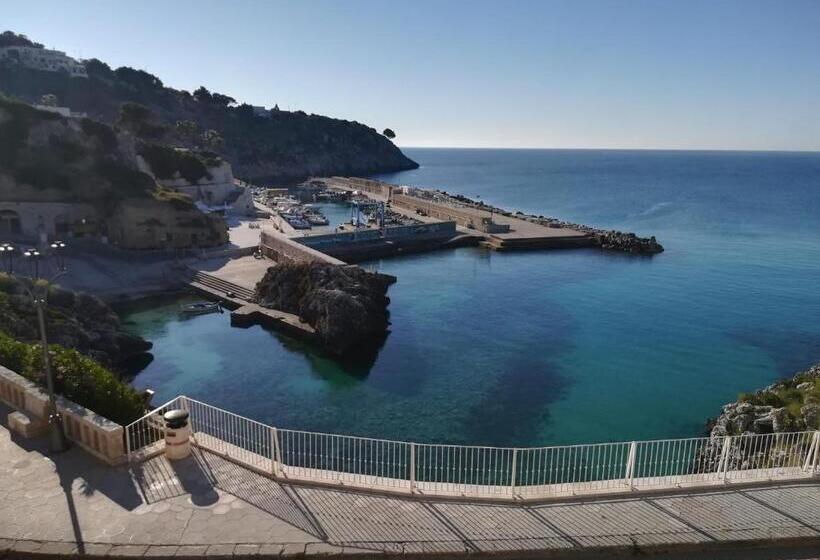 פנסיון El Paso