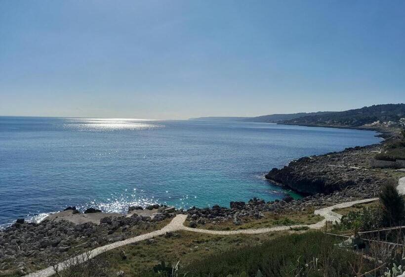 פנסיון El Paso