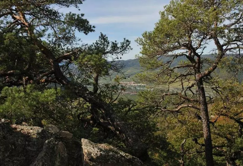 Aamiaismajoitus (B&B) Landhaus Furth8