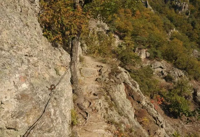 Aamiaismajoitus (B&B) Landhaus Furth8