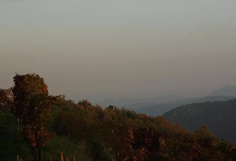 Aamiaismajoitus (B&B) Landhaus Furth8