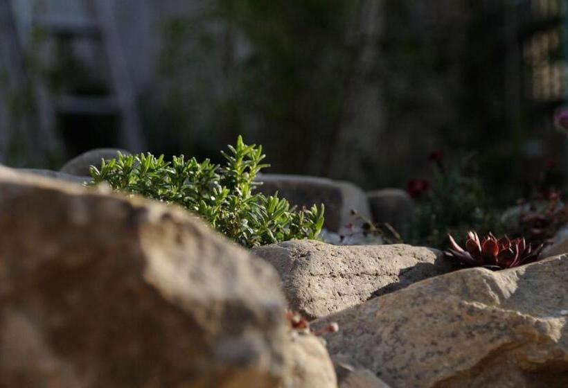 住宿加早餐 Landhaus Furth8