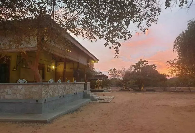 ホテル Leopard Corridor Yala