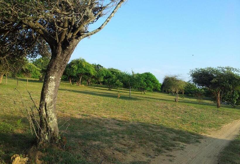 酒店 Leopard Corridor Yala