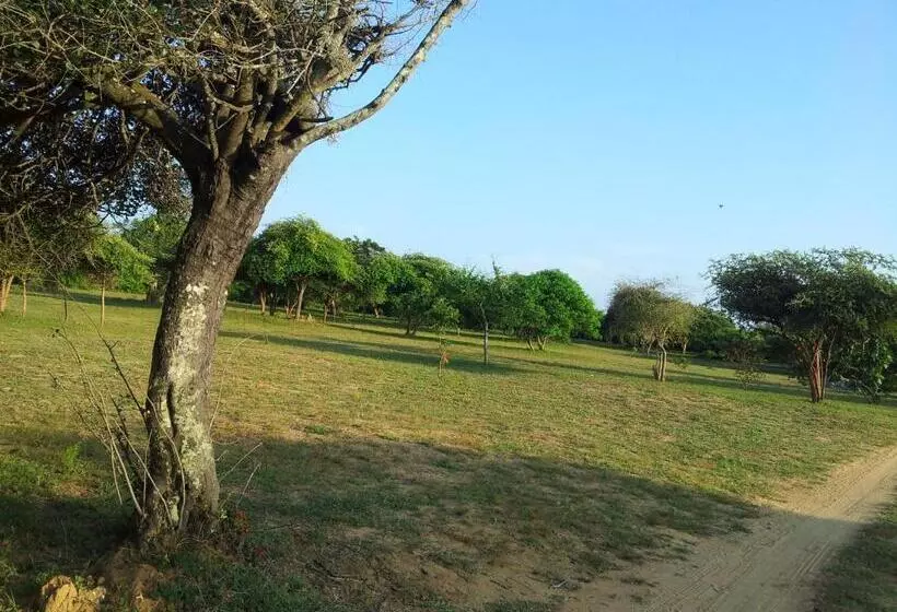 ホテル Leopard Corridor Yala