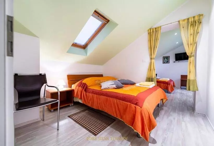 پانسیون Guesthouse Sobe Silva