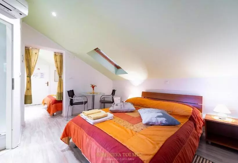 پانسیون Guesthouse Sobe Silva