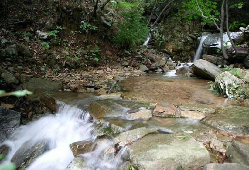 Hotel Palsecjo Pension