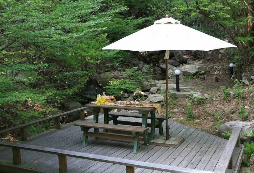 Hotel Palsecjo Pension