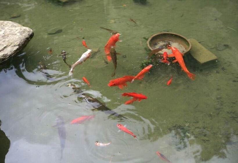 Hotel Palsecjo Pension