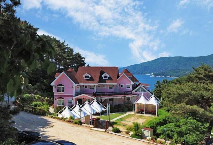 Hotel Palsecjo Pension