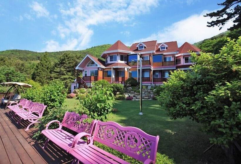 Hotel Palsecjo Pension