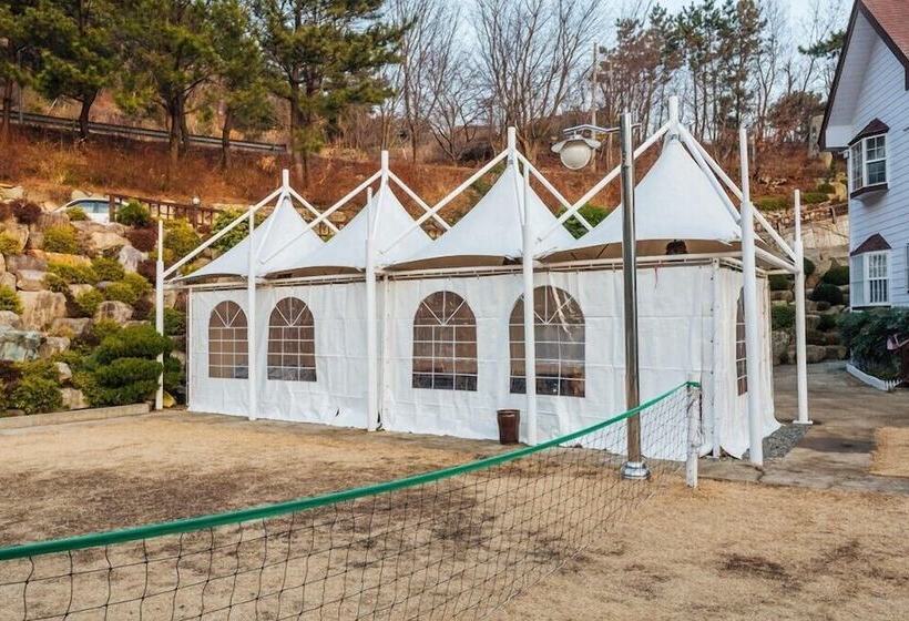 Hotel Palsecjo Pension