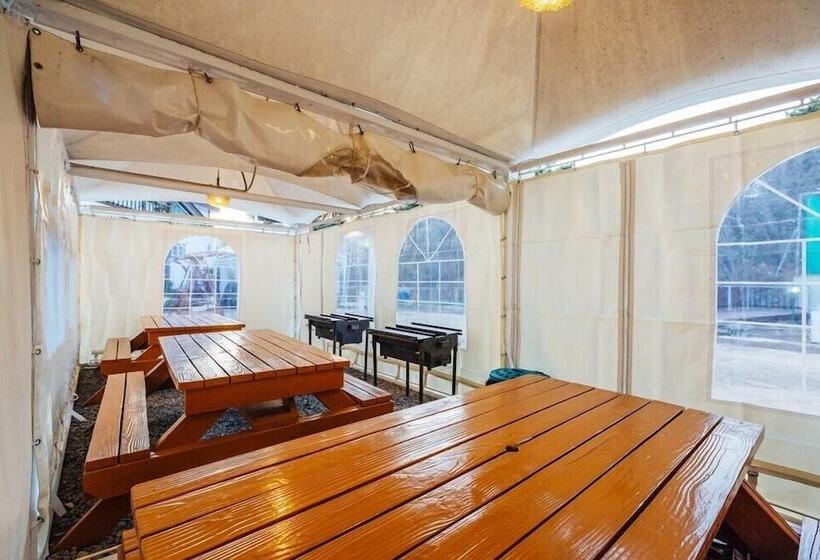 Hotel Palsecjo Pension