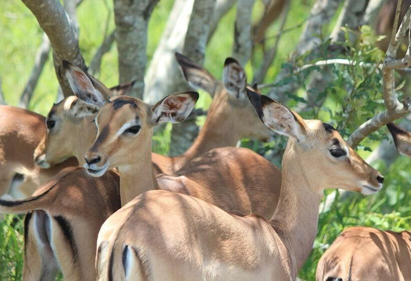 هتل Wide Horizons Mountain Retreat