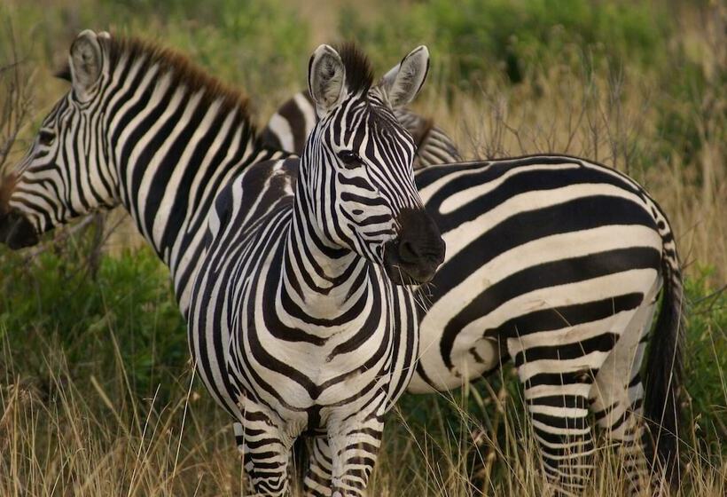 هتل Wide Horizons Mountain Retreat