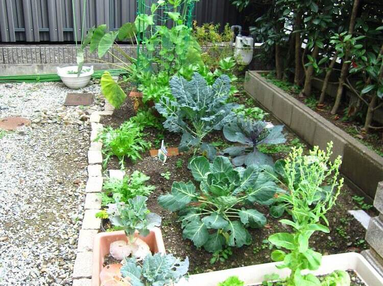 בית מלון כפרי Kyonosato