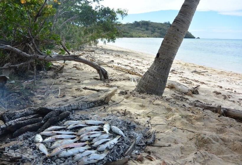 Hôtel Waitui Basecamp   Hostel