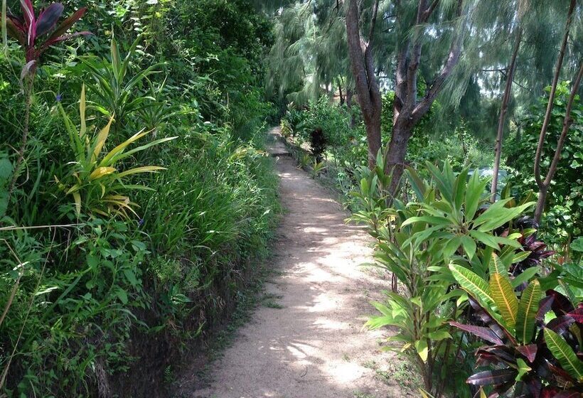 Hôtel Waitui Basecamp   Hostel