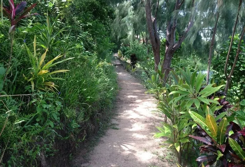 Hotelli Waitui Basecamp   Hostel