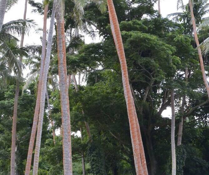 Hôtel Waitui Basecamp   Hostel