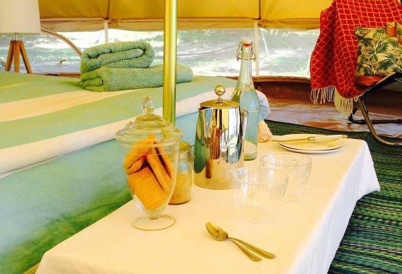 Hôtel Waitui Basecamp   Hostel