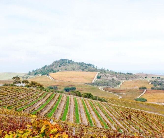 בית מלון כפרי Zevenwacht Wine Estate