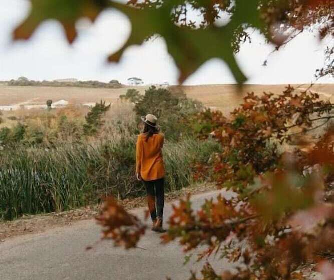 בית מלון כפרי Zevenwacht Wine Estate