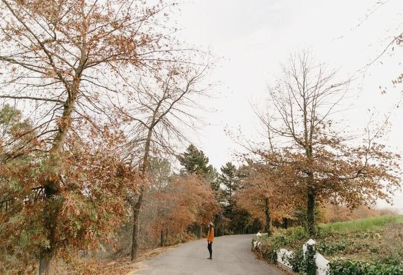 בית מלון כפרי Zevenwacht Wine Estate