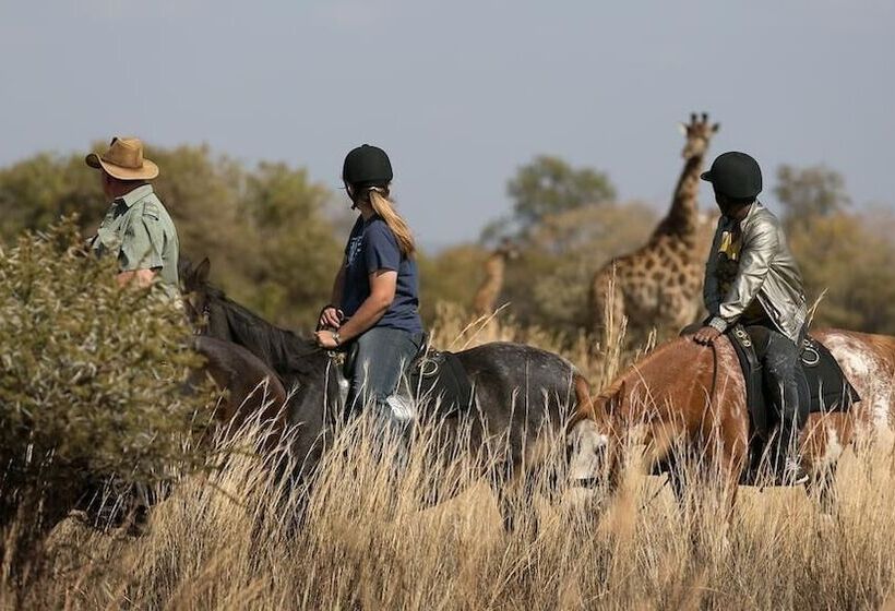 فندق Zebula Boutique