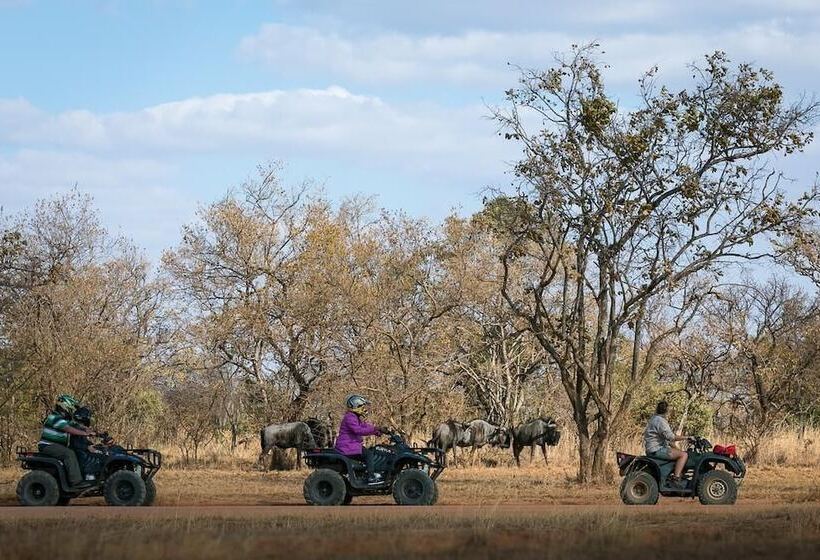 فندق Zebula Boutique