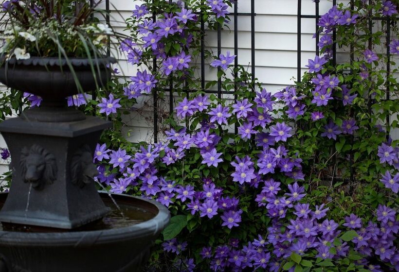 Bed and Breakfast Castle In The Country