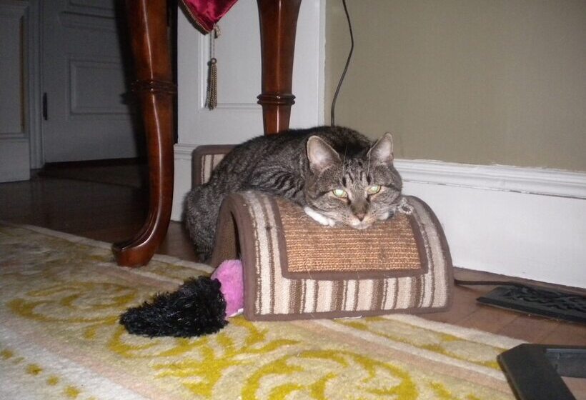 Fleetwood House Bed And Breakfast