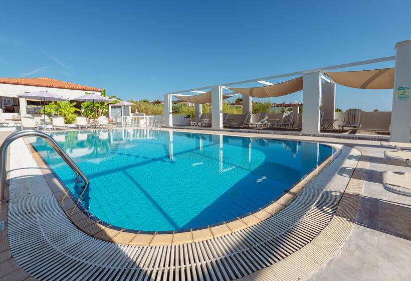 فندق Ampelia Studios