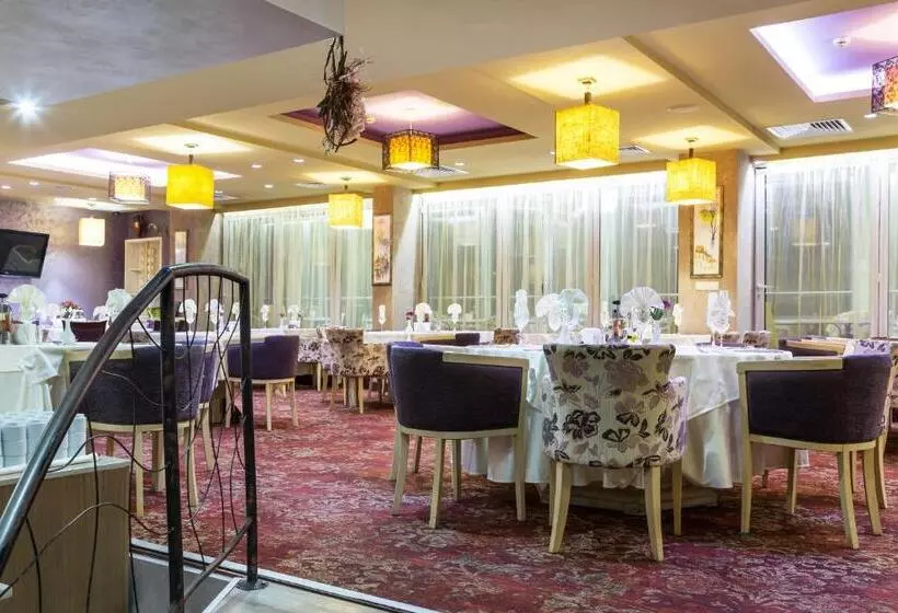 Отель Balneo Complex & Spa Aquatonik