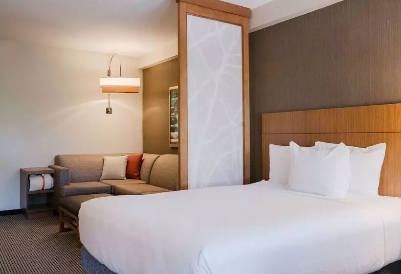 فندق Hyatt Place Buffalo / Amherst, Ny