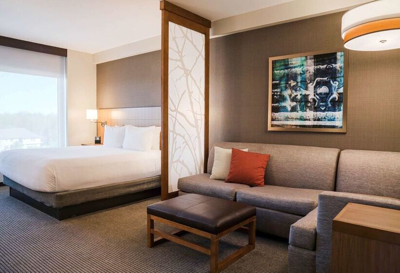 فندق Hyatt Place Buffalo / Amherst, Ny