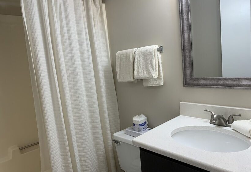 酒店 Olde Gatlinburg Rentals