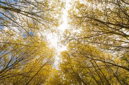 펜션 In The Valley