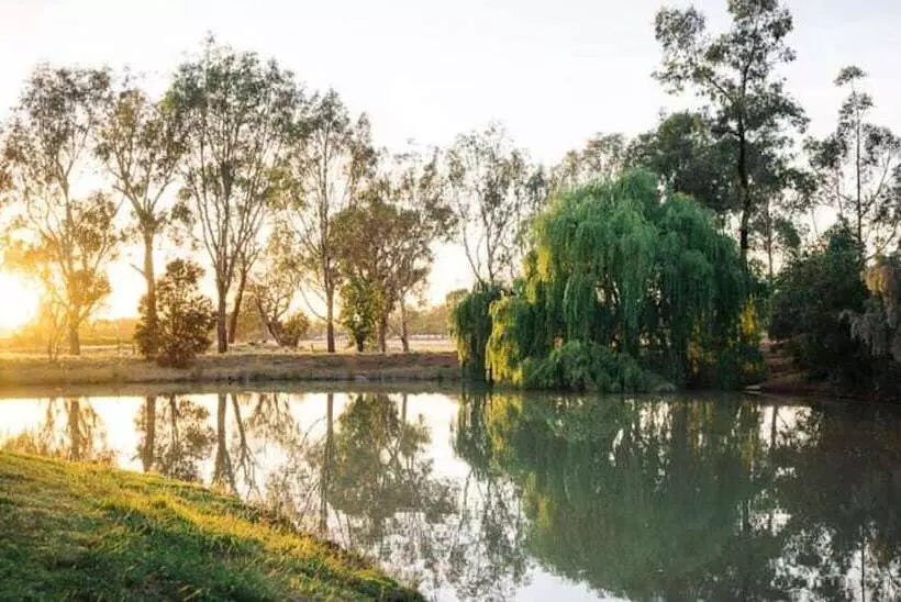 Perricoota Vines Retreat