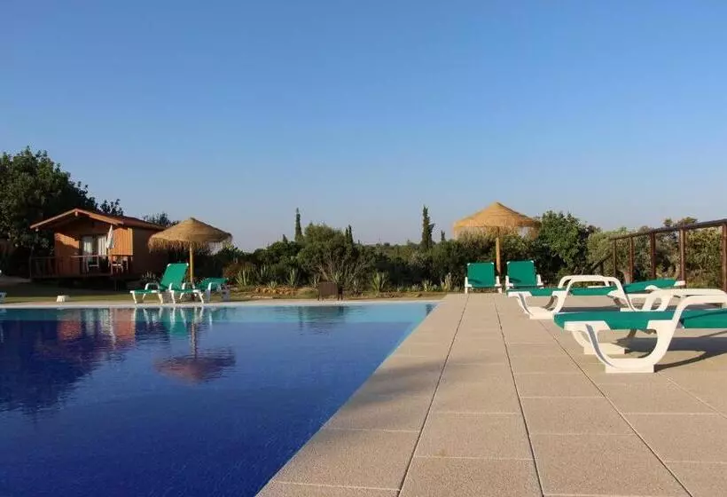 هاستل Quinta Saleiro Guesthouse