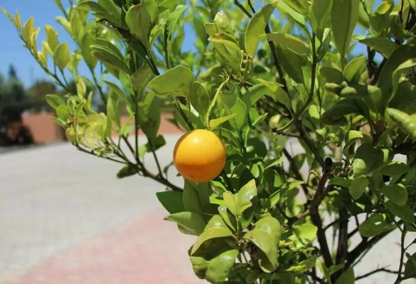 هاستل Quinta Saleiro Guesthouse