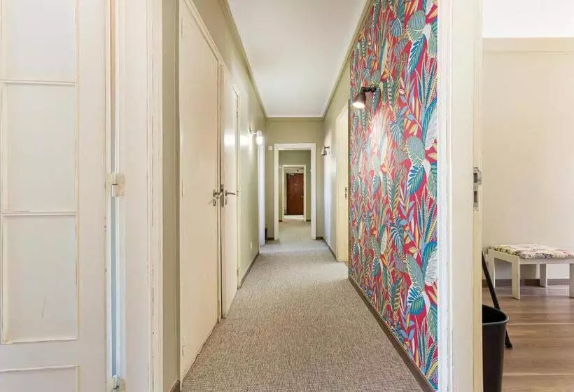 هاستل Wallis Rato