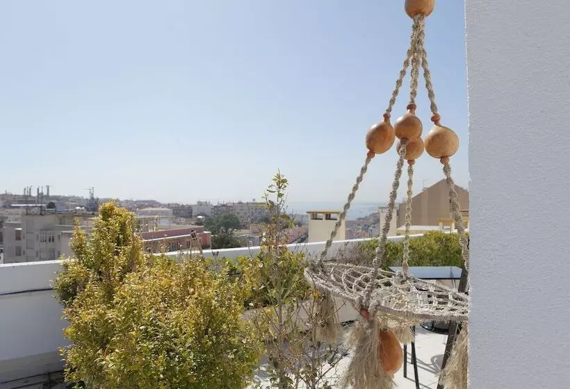 هاستل Wallis Rato