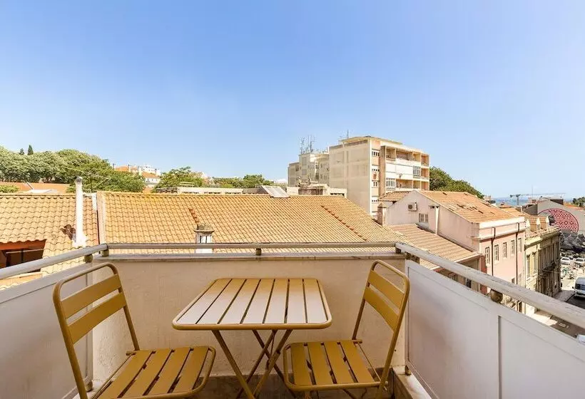 هاستل Wallis Rato