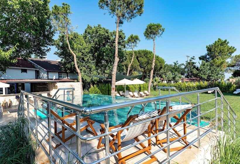 Assos Hunters Hotel   Special Class