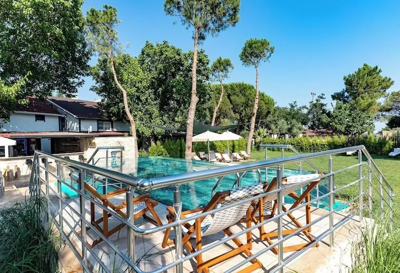 Assos Hunters Hotel Special Class