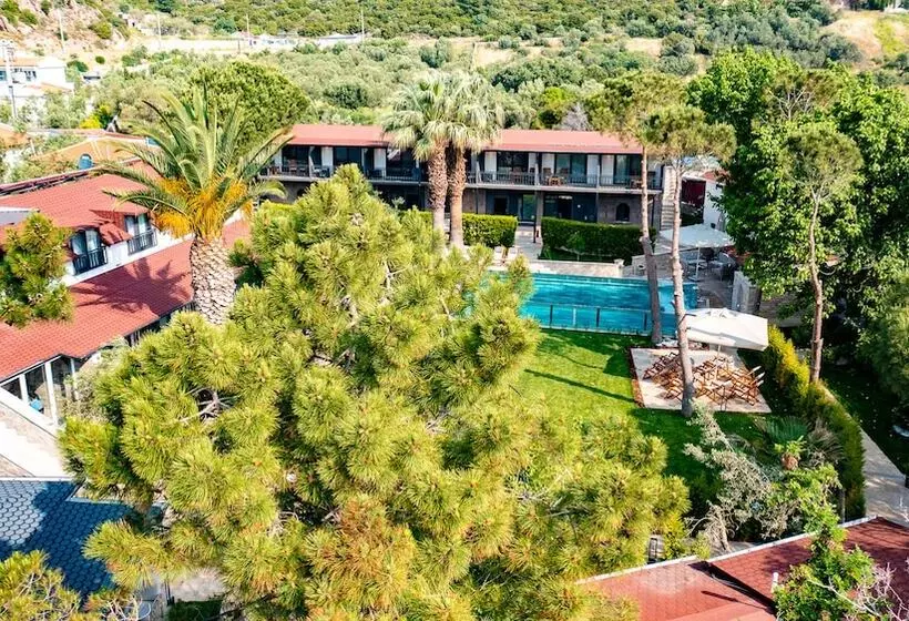 Assos Hunters Hotel Special Class