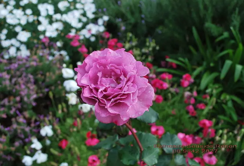 Balneaire Seaside Resort